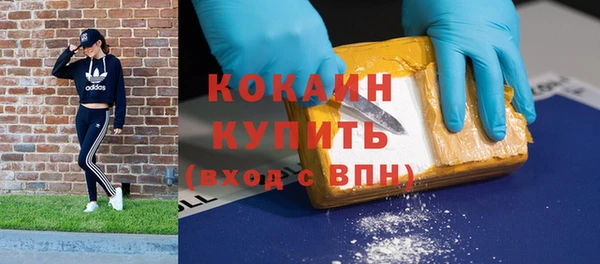 стаф Абинск
