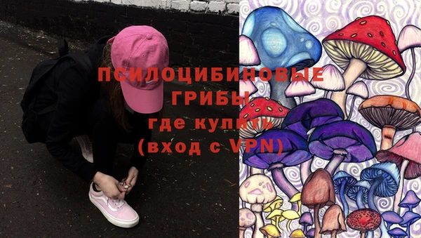 стаф Абинск