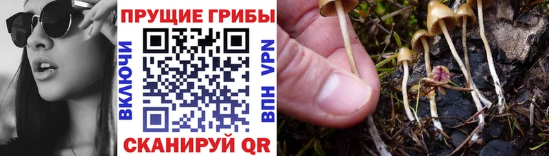 Псилоцибиновые грибы Magic Shrooms  что такое   Черемхово 