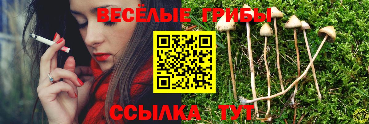 Галлюциногенные грибы прущие грибы Черемхово